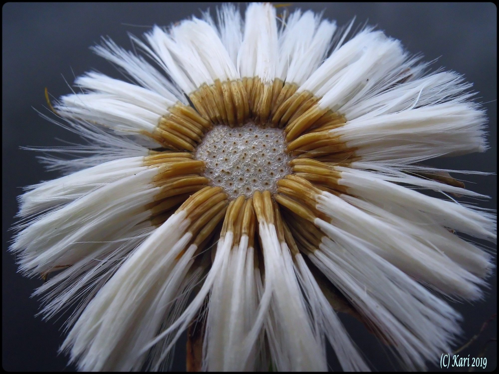 Valokuvaaja: Kari Saarinen