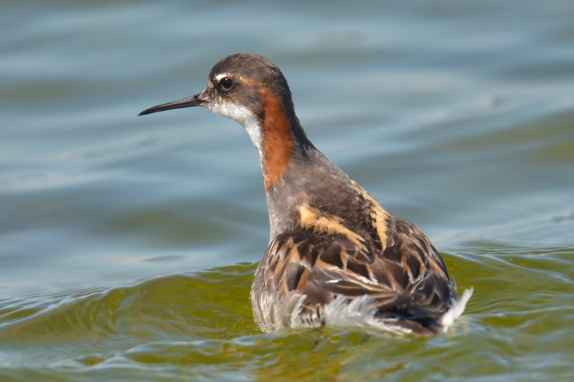 Valokuvaaja: Jouko Etelä