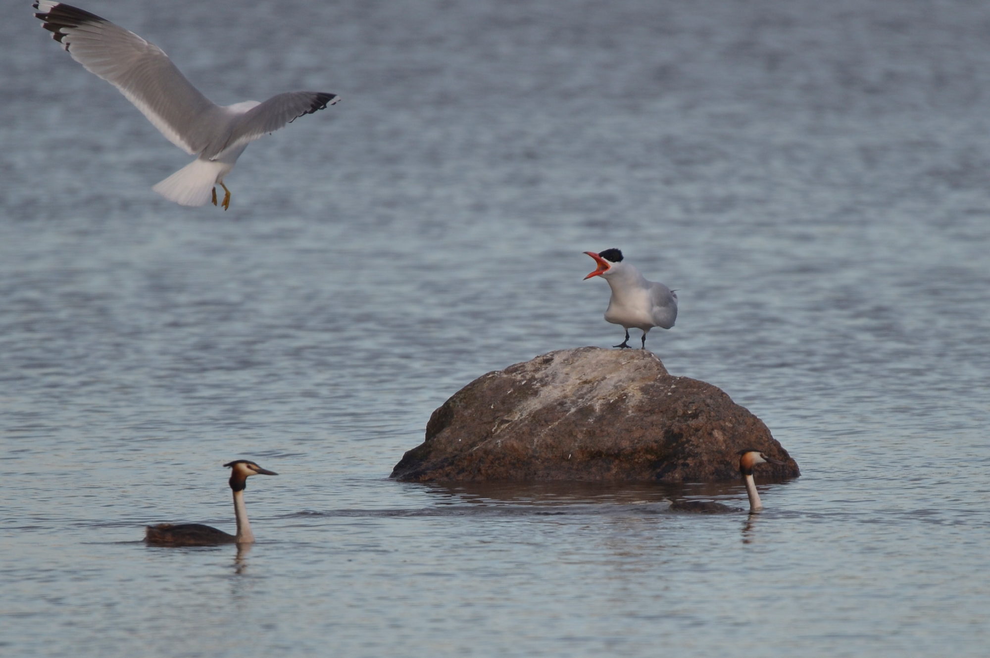 Valokuvaaja: Jouko Etelä