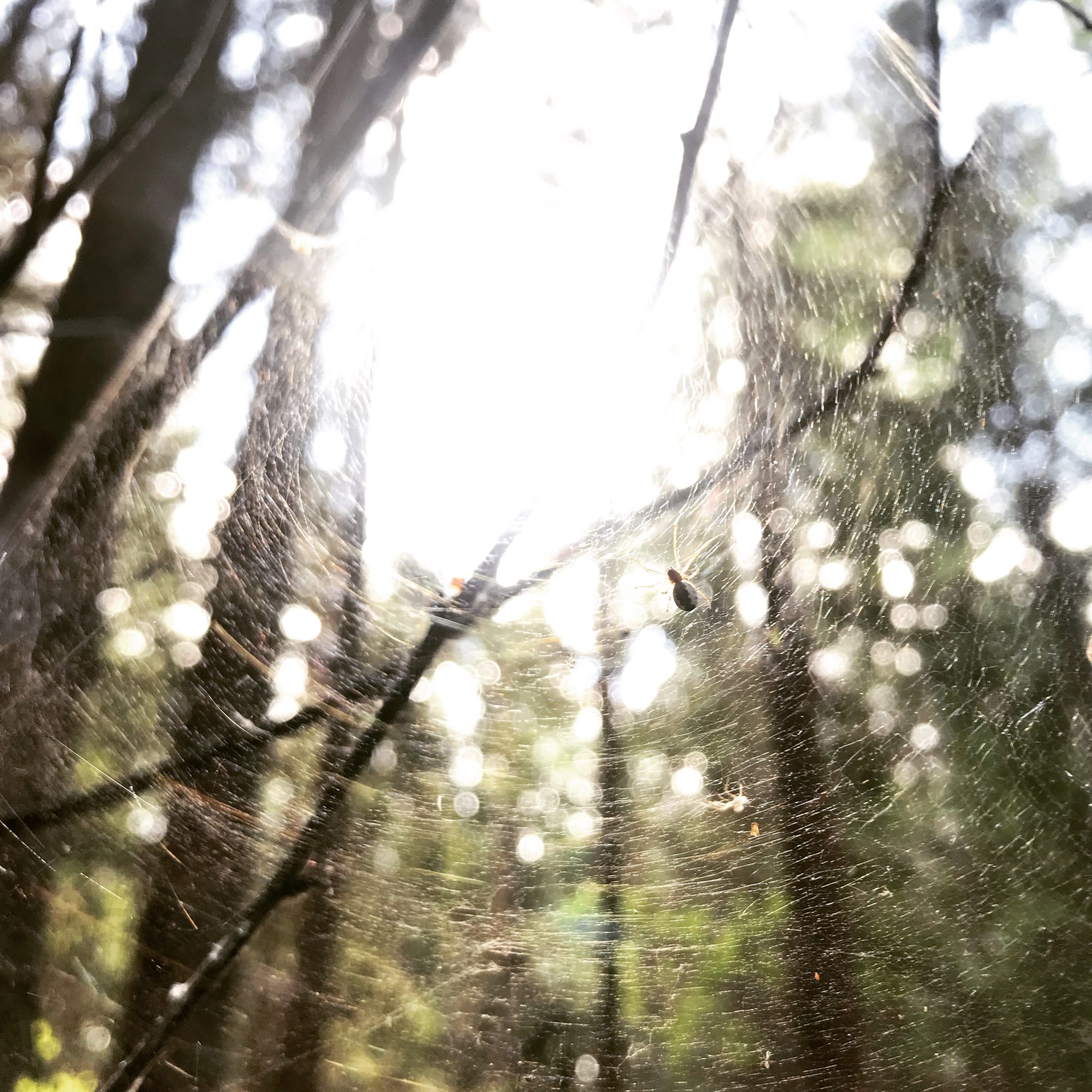 Valokuvaaja: Anna Färm