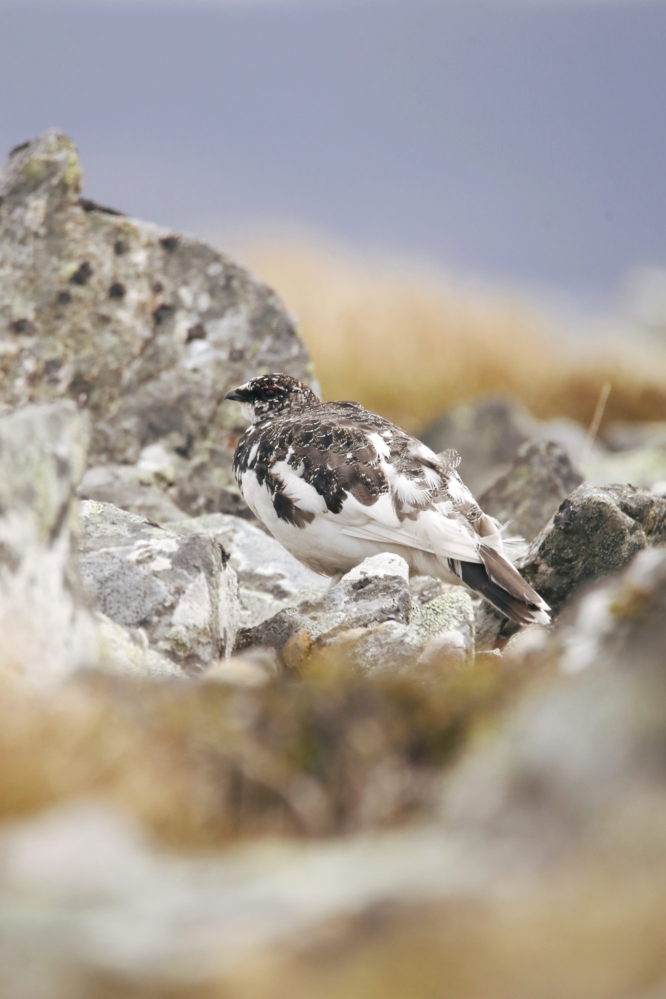 Valokuvaaja: Anne Jääskeläinen