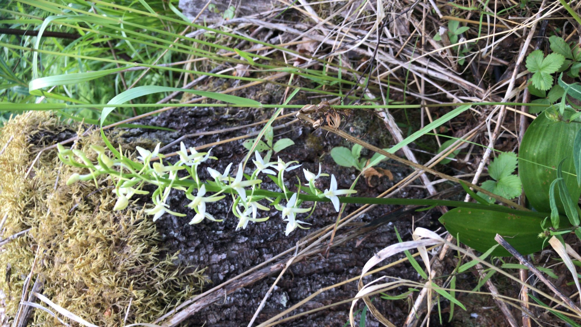Valokuvaaja: Minna Kähkönen