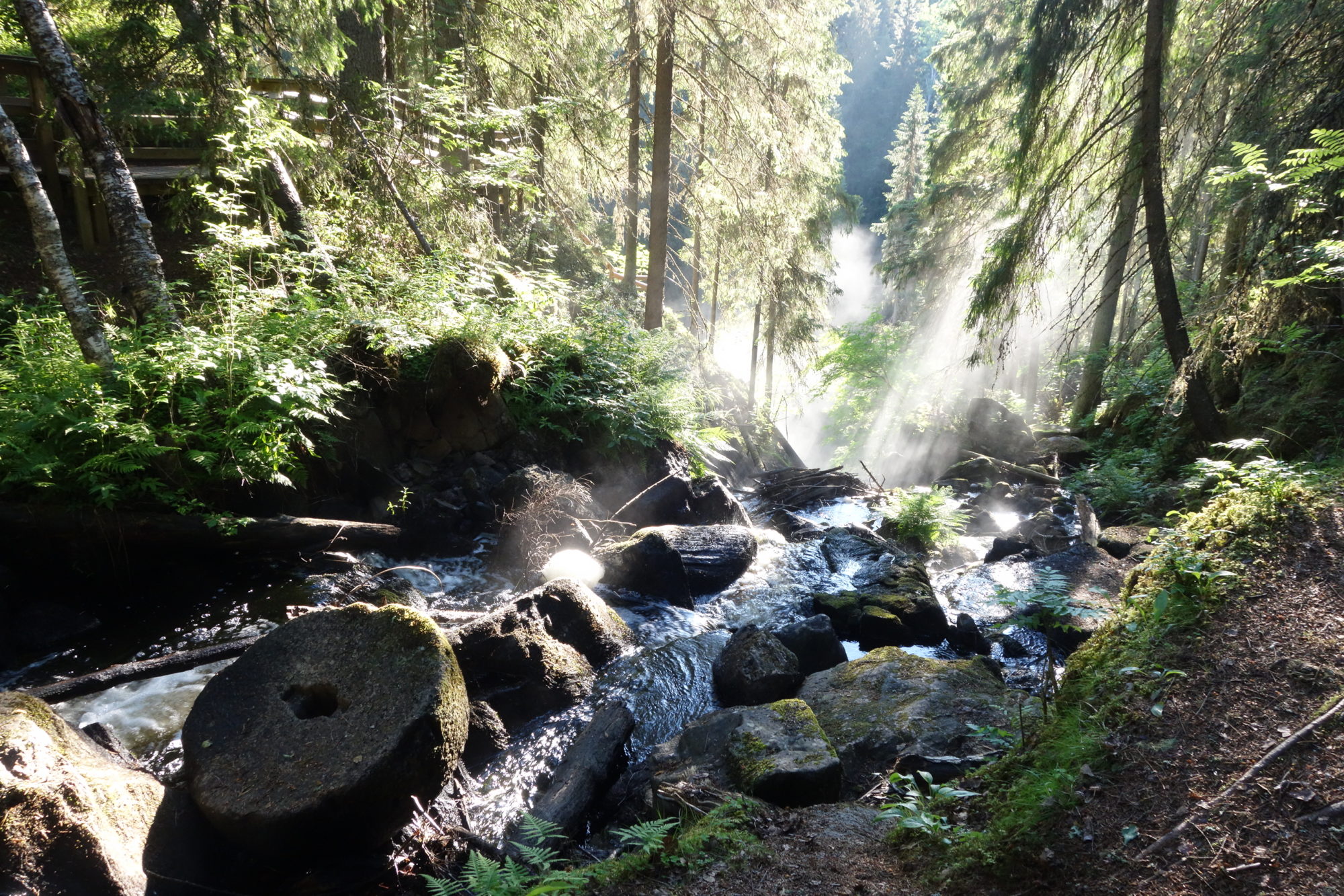 Valokuvaaja: Kaarina Heiskanen