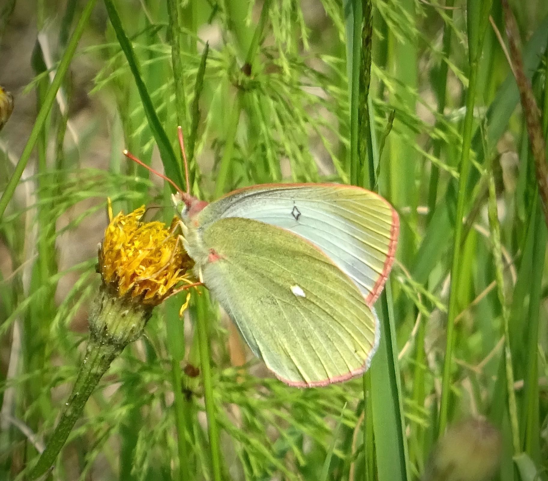 Valokuvaaja: Liisa Niiva-Korpela