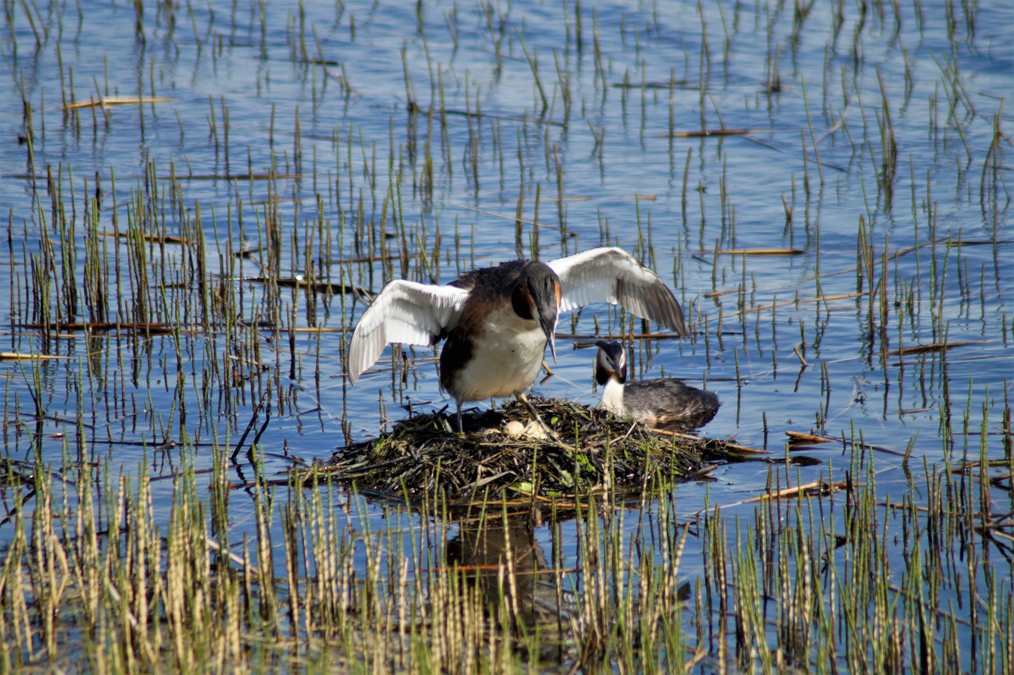 Valokuvaaja: Maarit Siitonen