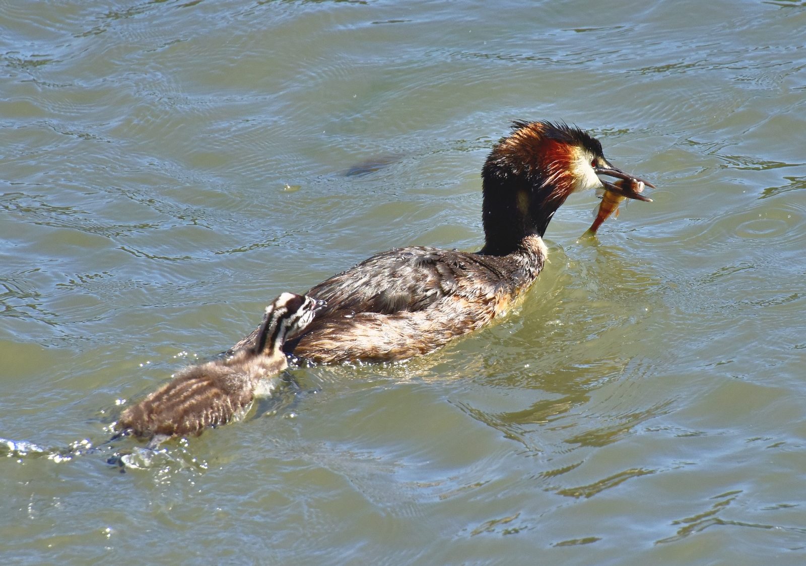 Valokuvaaja: Reijo Juurinen