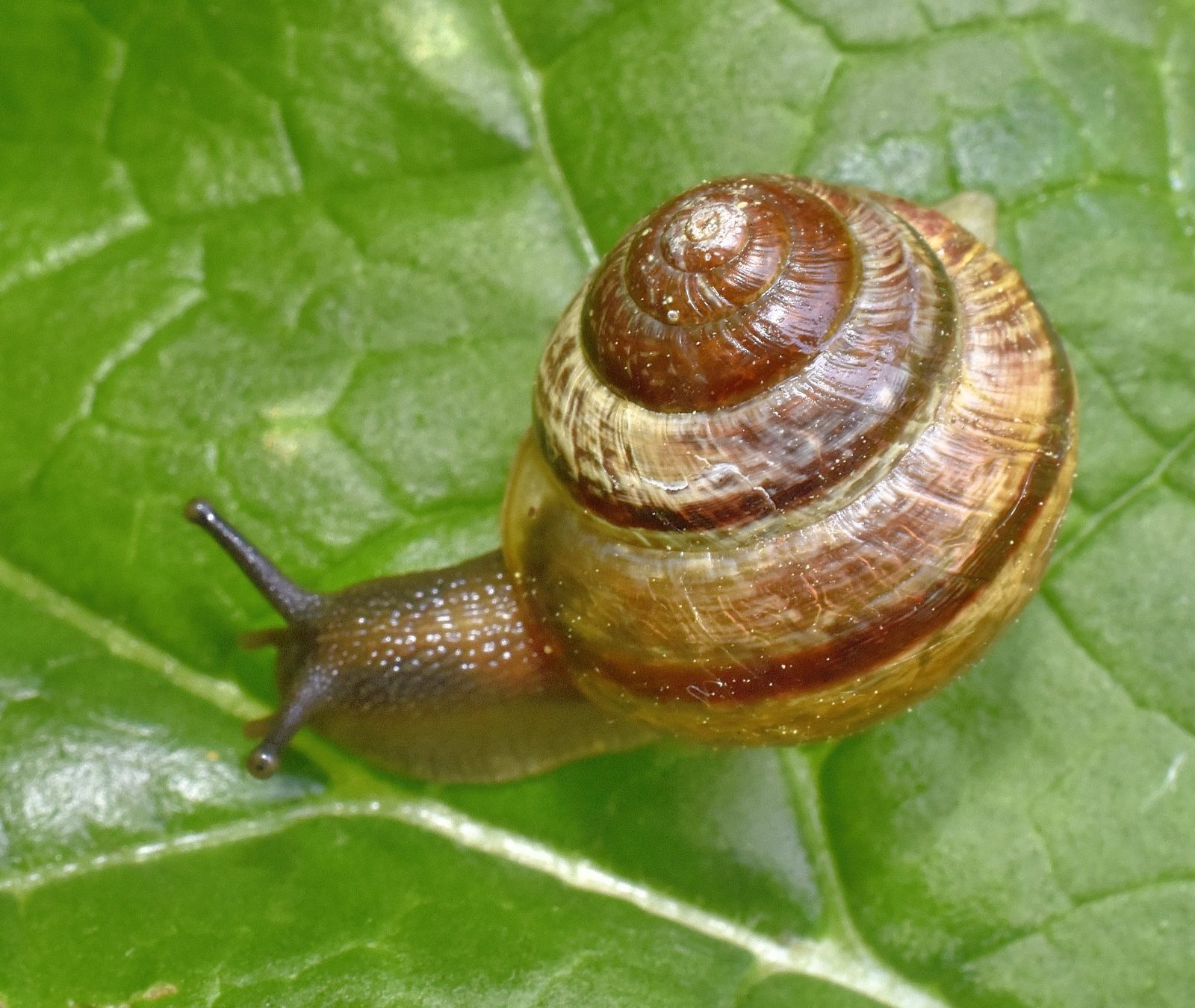 Valokuvaaja: Reijo Juurinen