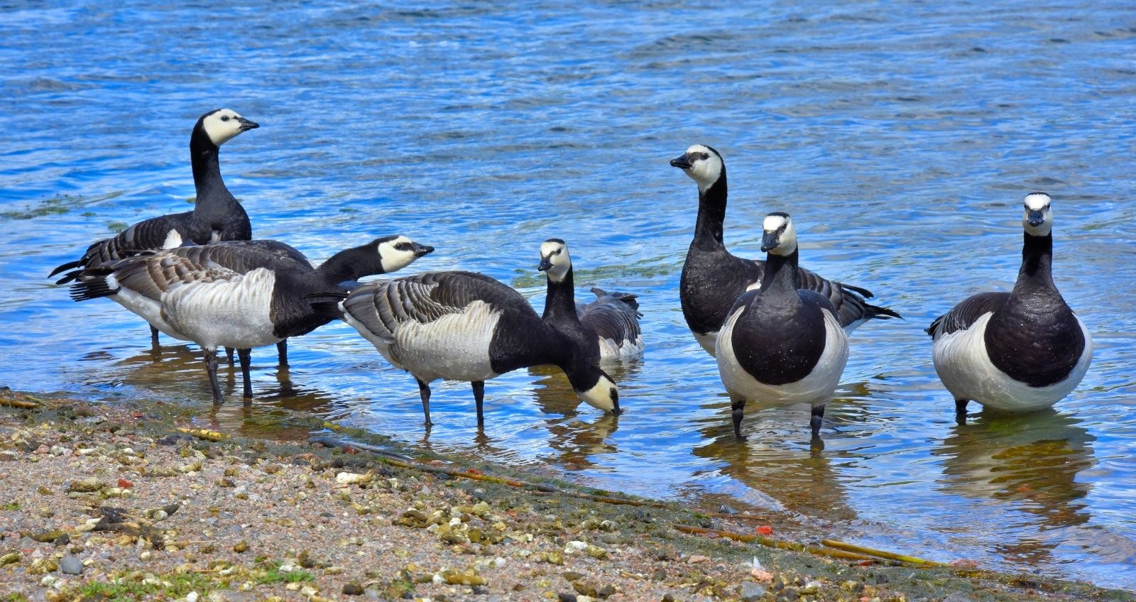 Valokuvaaja: Reijo Juurinen