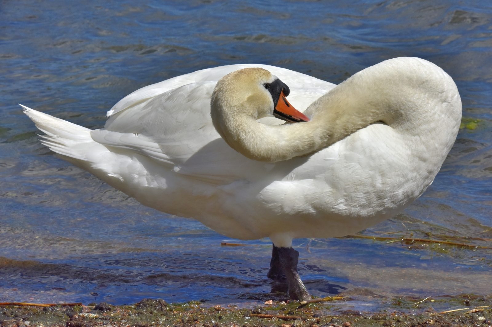 Valokuvaaja: Reijo Juurinen