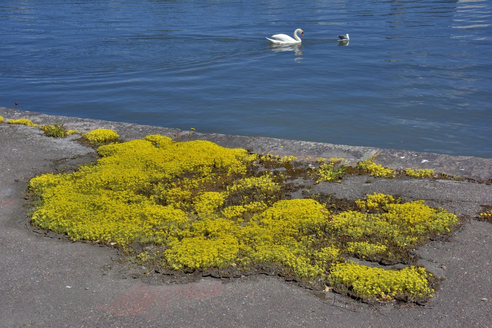 Valokuvaaja: Reijo Juurinen