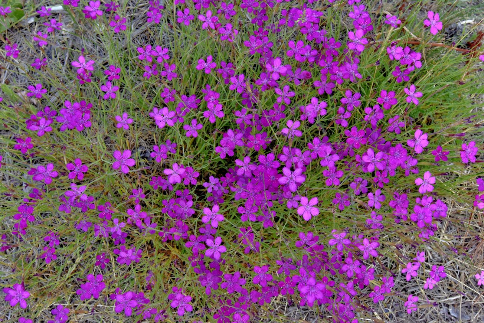 Valokuvaaja: Reijo Juurinen