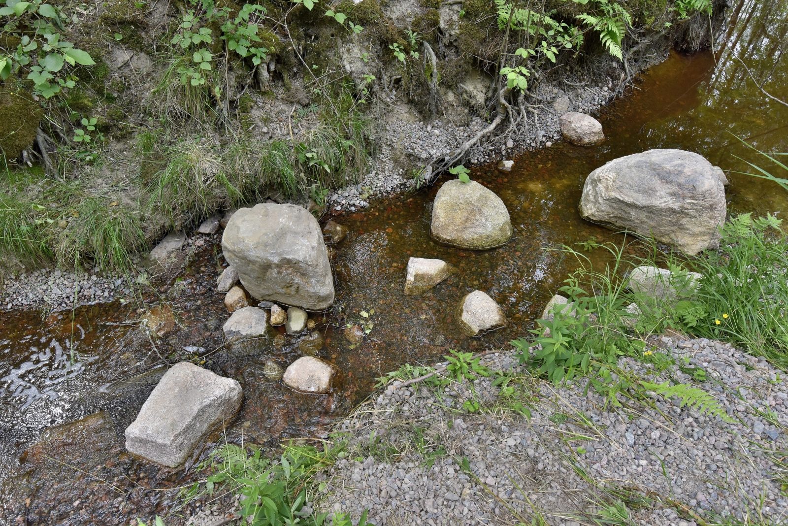 Valokuvaaja: Reijo Juurinen