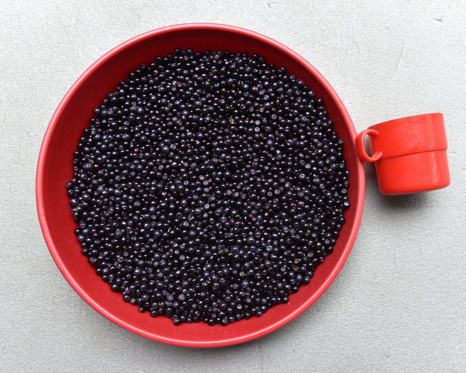 Valokuvaaja: Reijo Juurinen