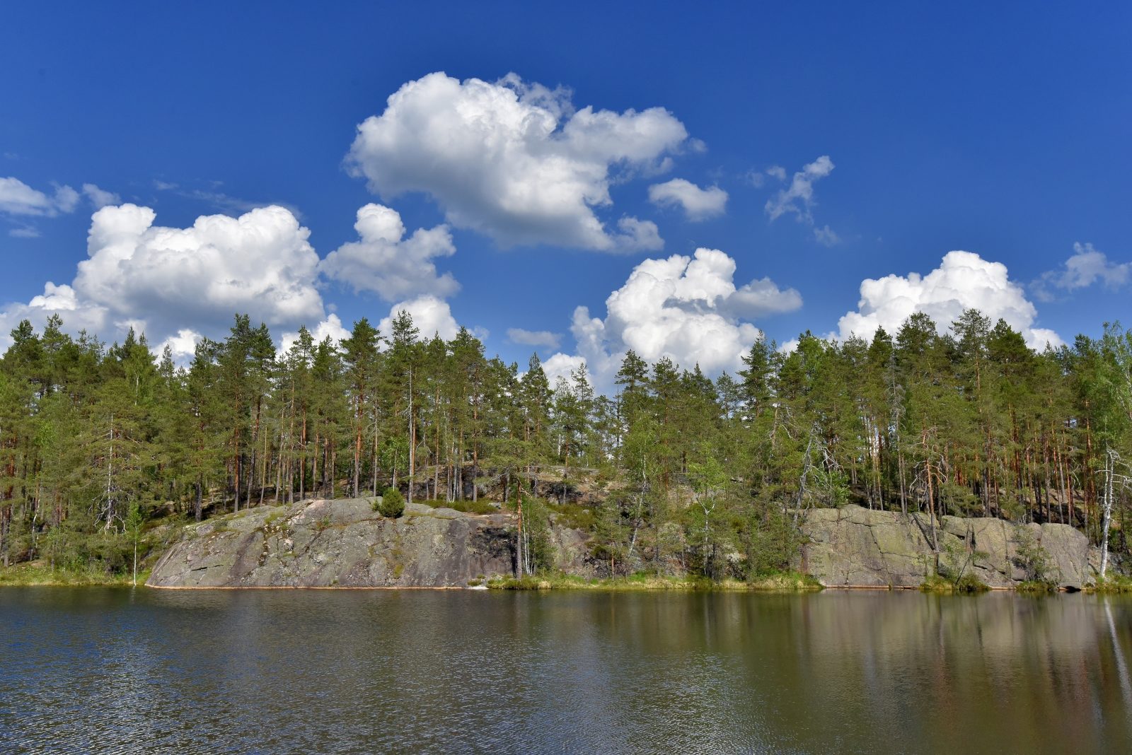 Valokuvaaja: Reijo Juurinen