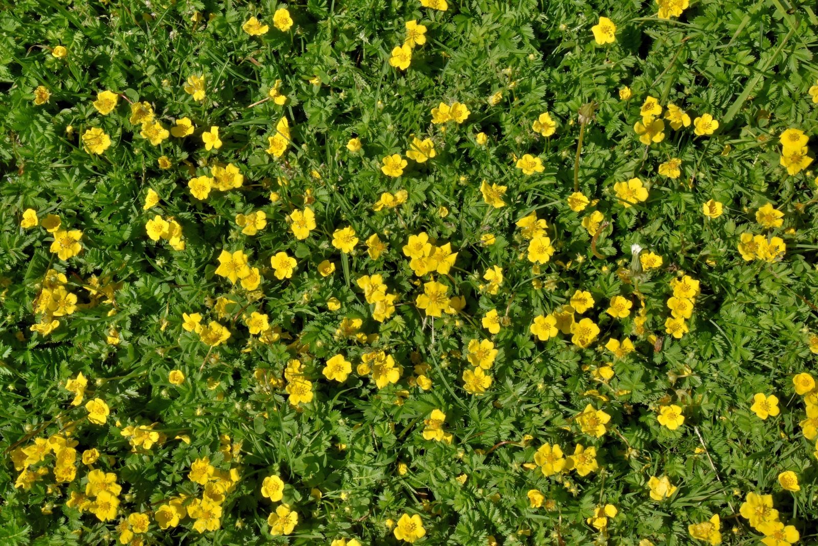 Valokuvaaja: Reijo Juurinen