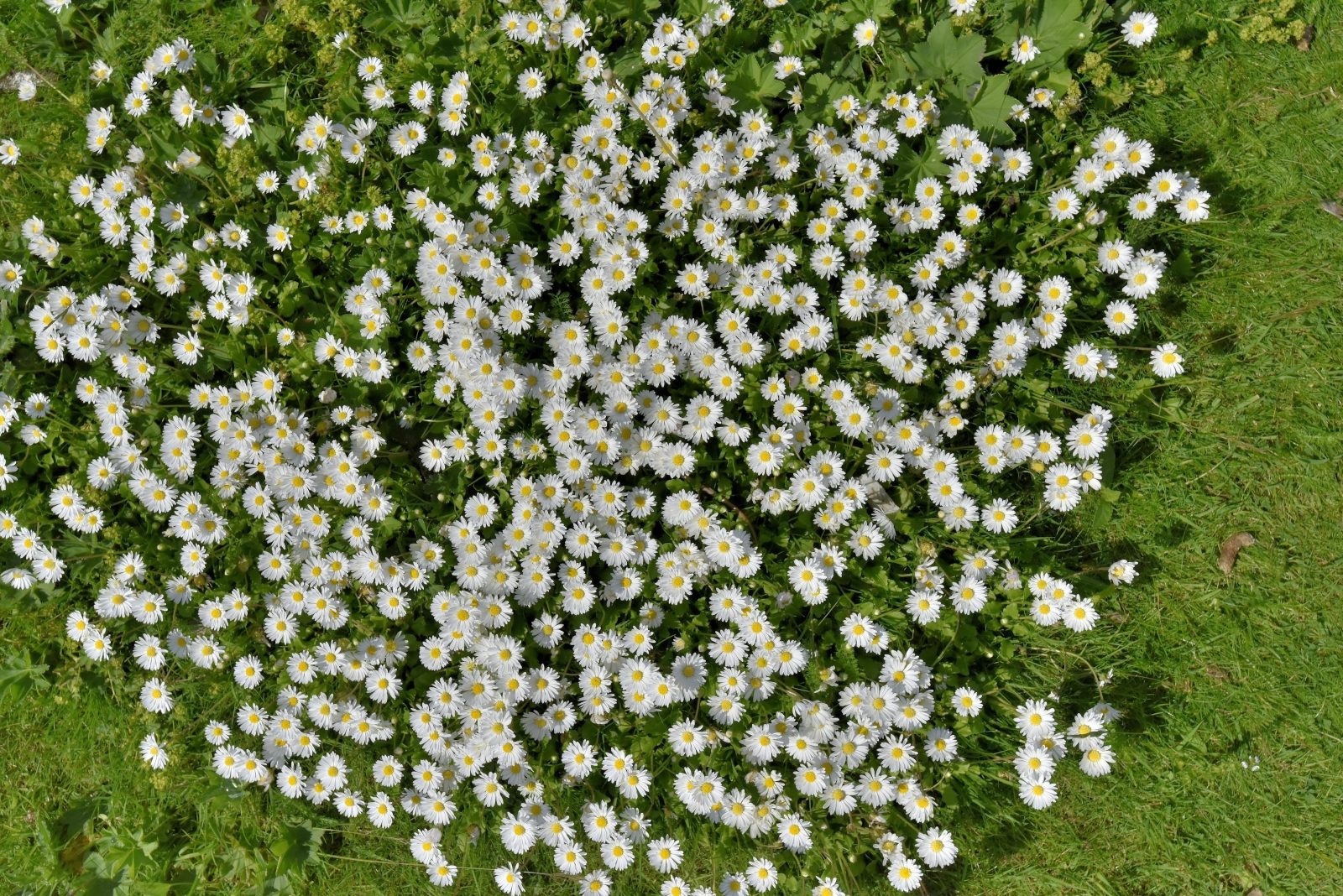 Valokuvaaja: Reijo Juurinen Valokuvaaja: Reijo Juurinen