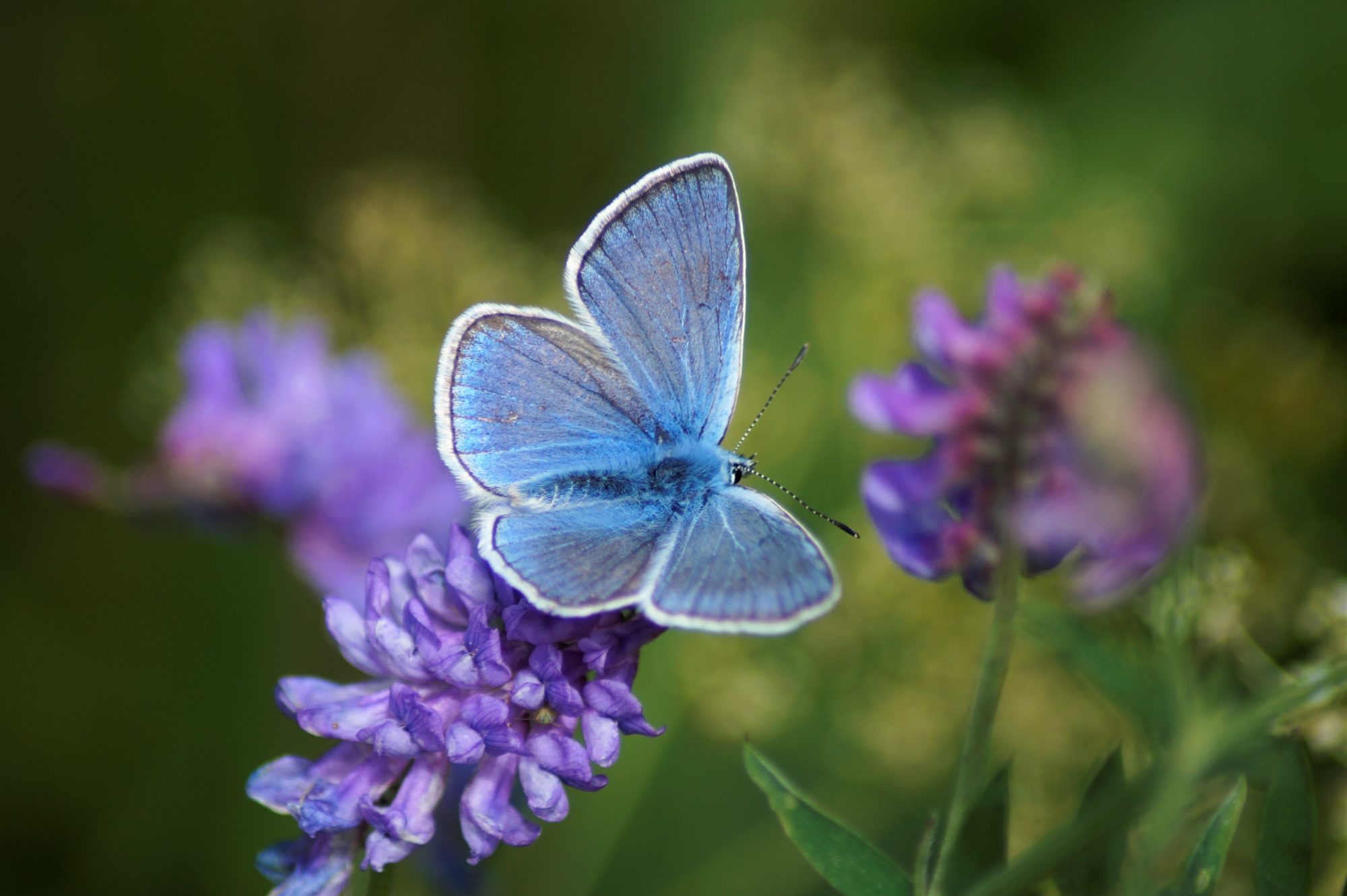 Valokuvaaja: Maarit Siitonen