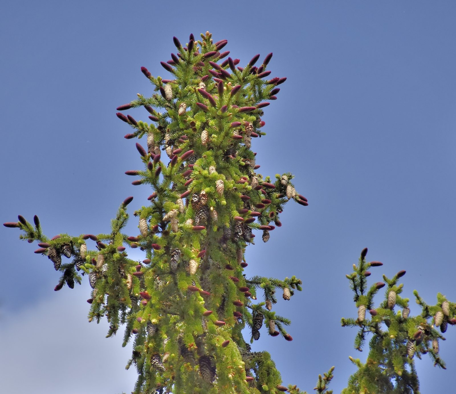 Valokuvaaja: Reijo Juurinen
