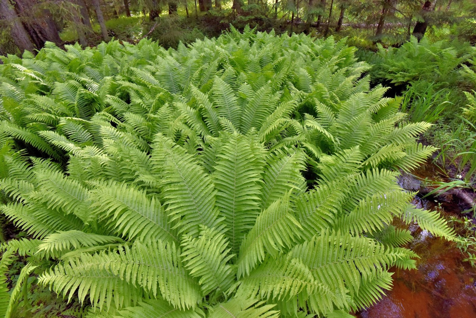 Valokuvaaja: Reijo Juurinen