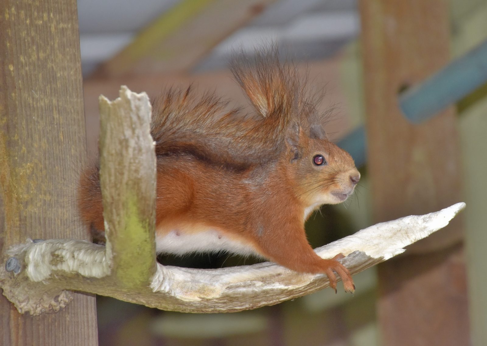 Valokuvaaja: Reijo Juurinen