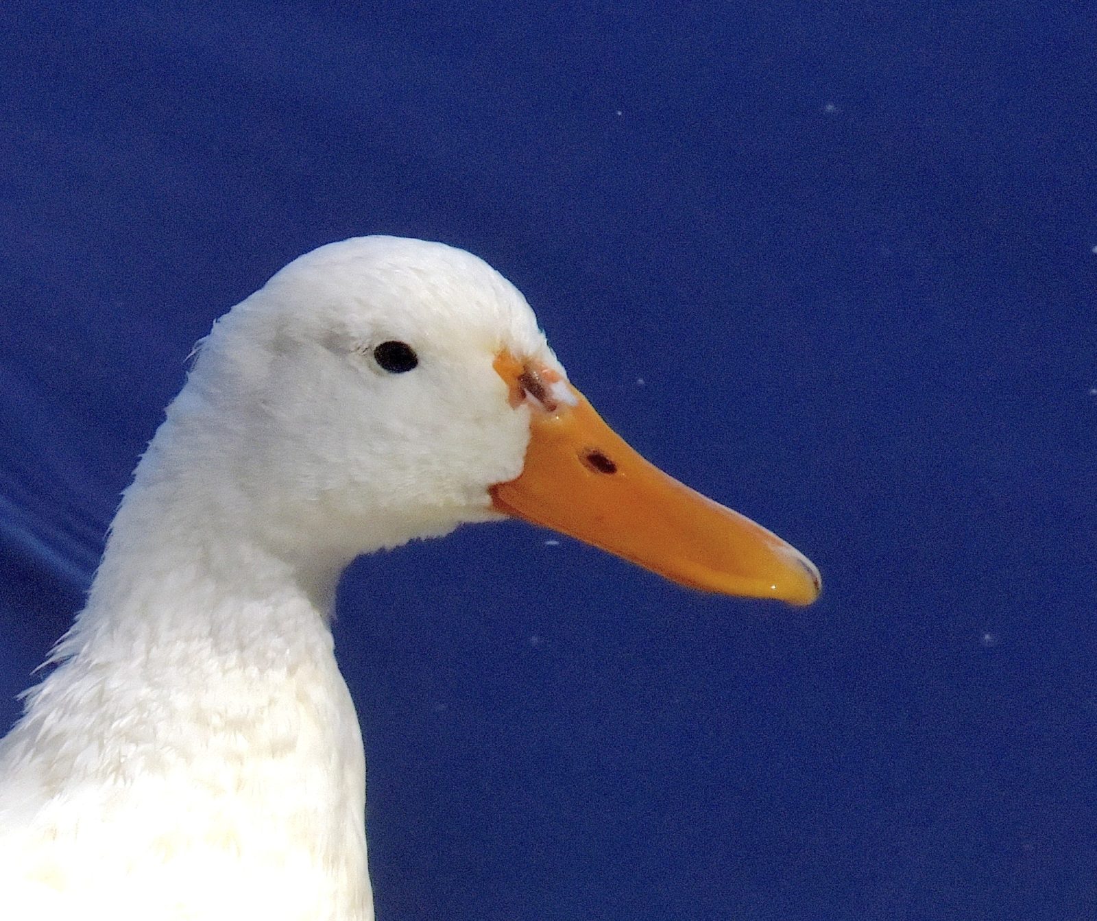 Valokuvaaja: Reijo Juurinen