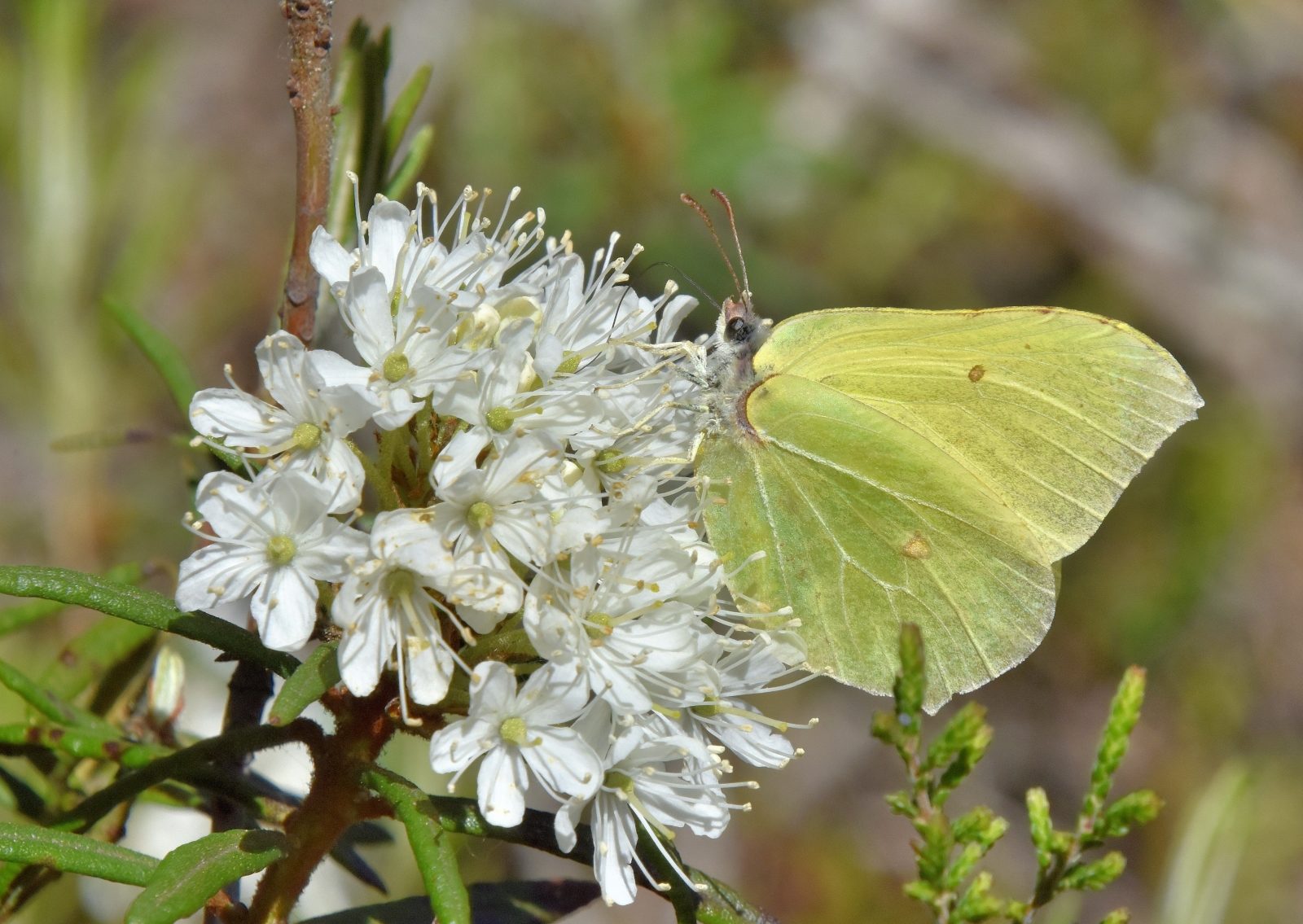 Valokuvaaja: Reijo Juurinen