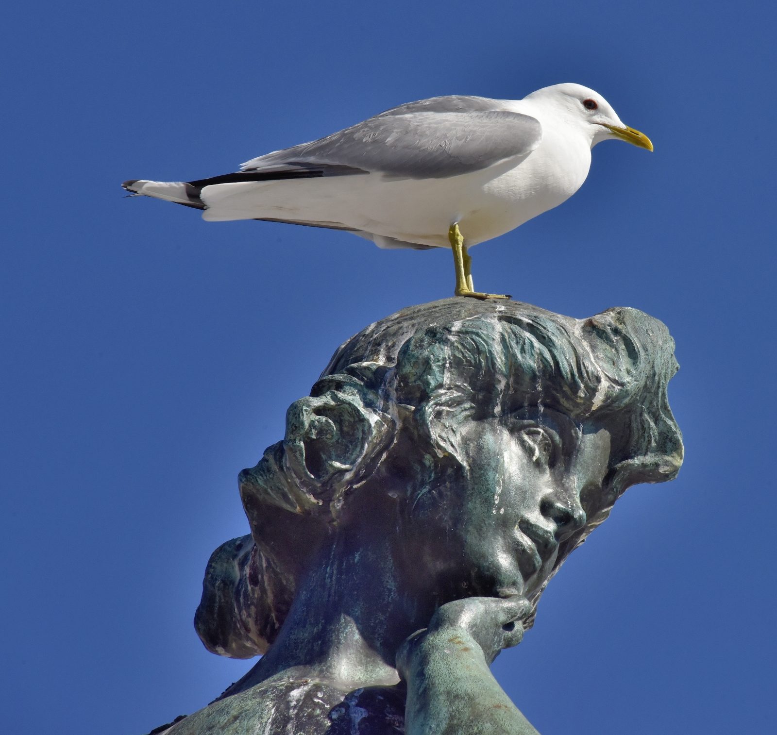 Valokuvaaja: Reijo Juurinen