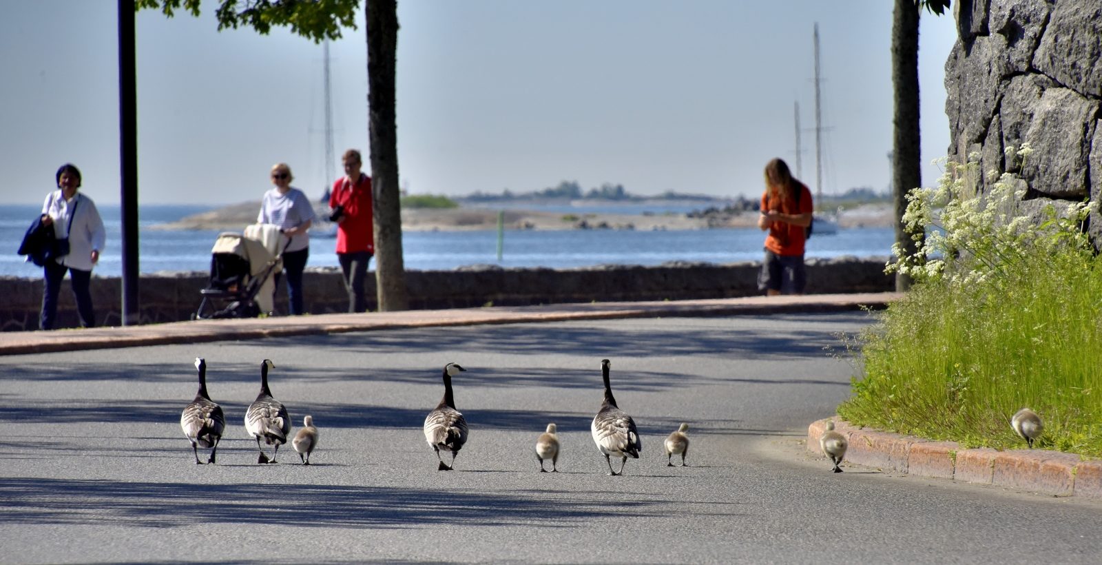 Valokuvaaja: Reijo Juurinen