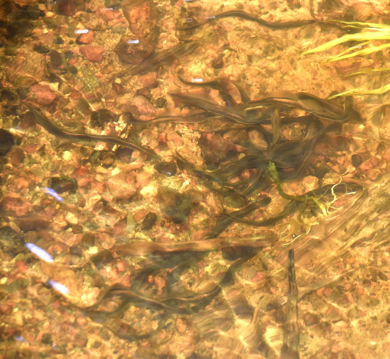 Valokuvaaja: Reijo Juurinen