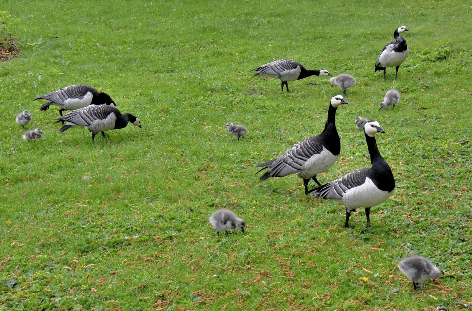 Valokuvaaja: Reijo Juurinen
