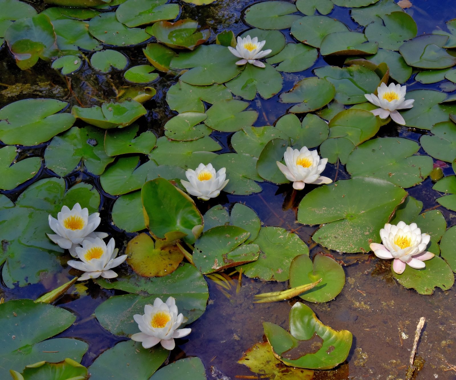 Valokuvaaja: Reijo Juurinen