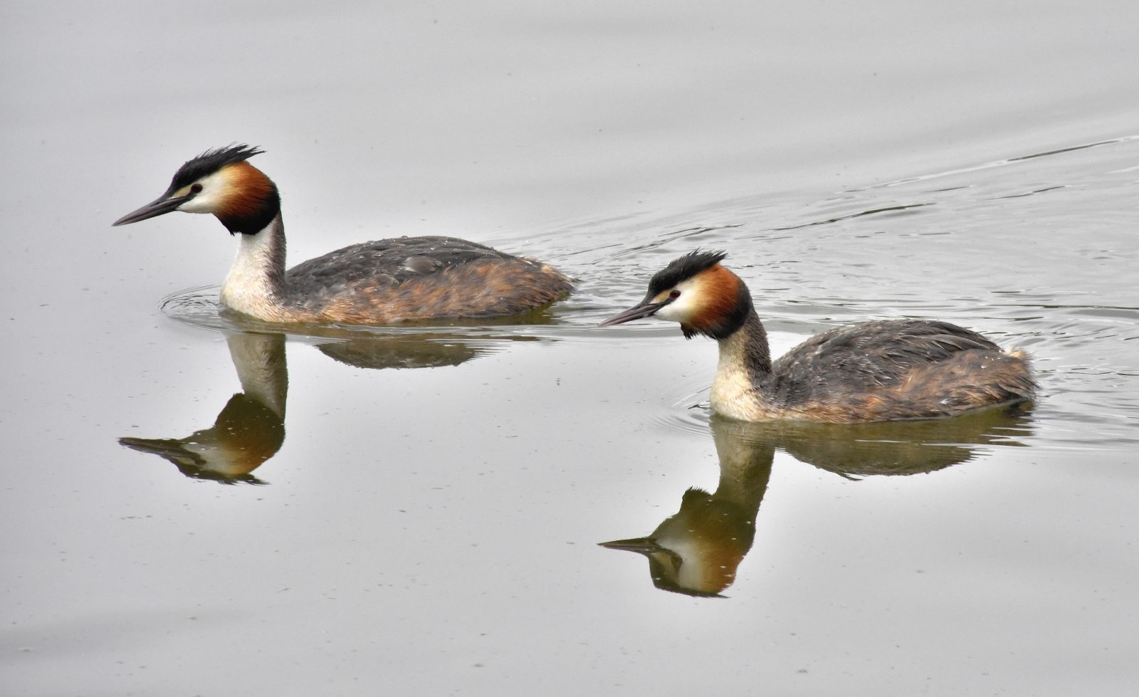 Valokuvaaja: Reijo Juurinen