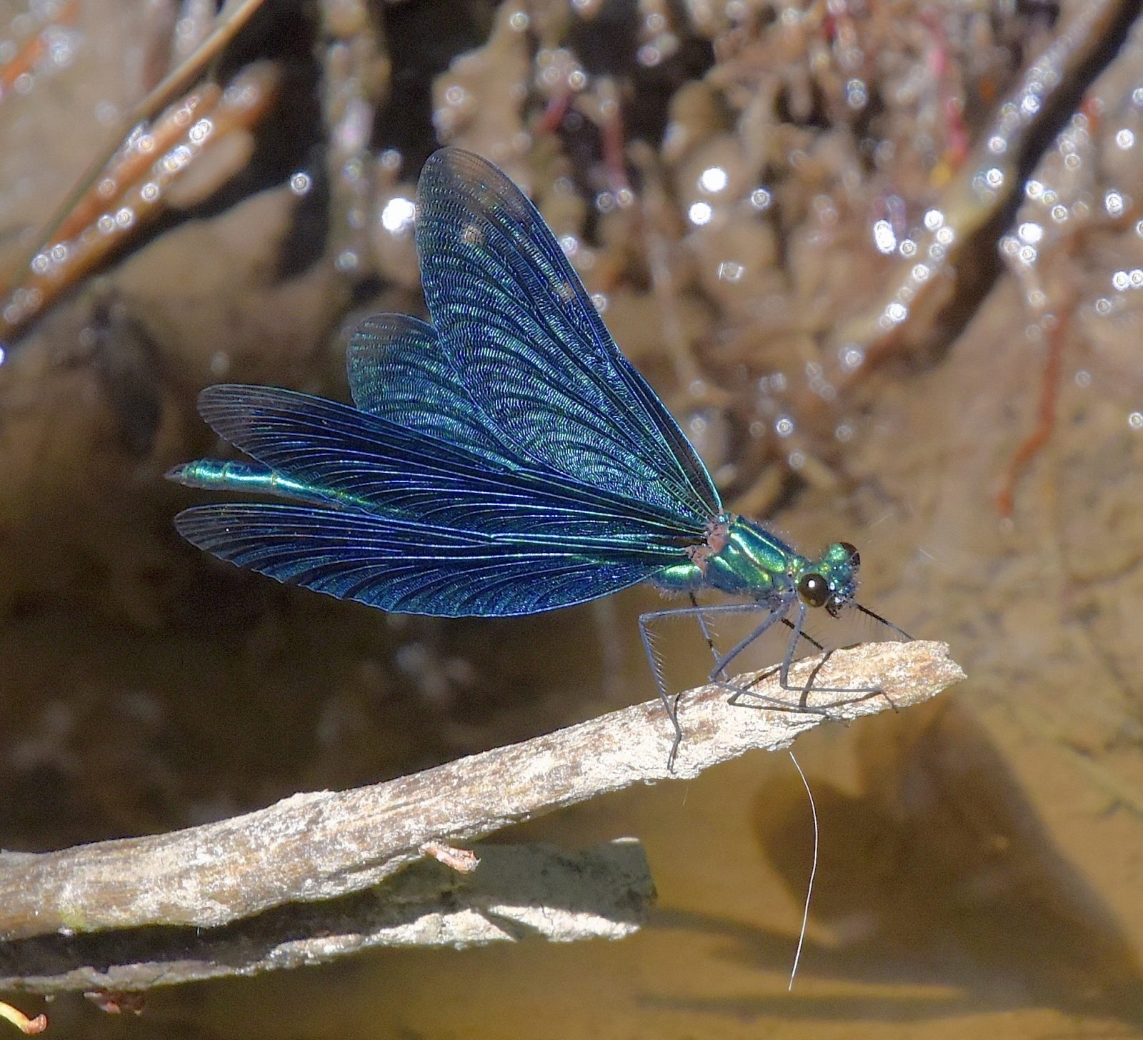 Valokuvaaja: Reijo Juurinen