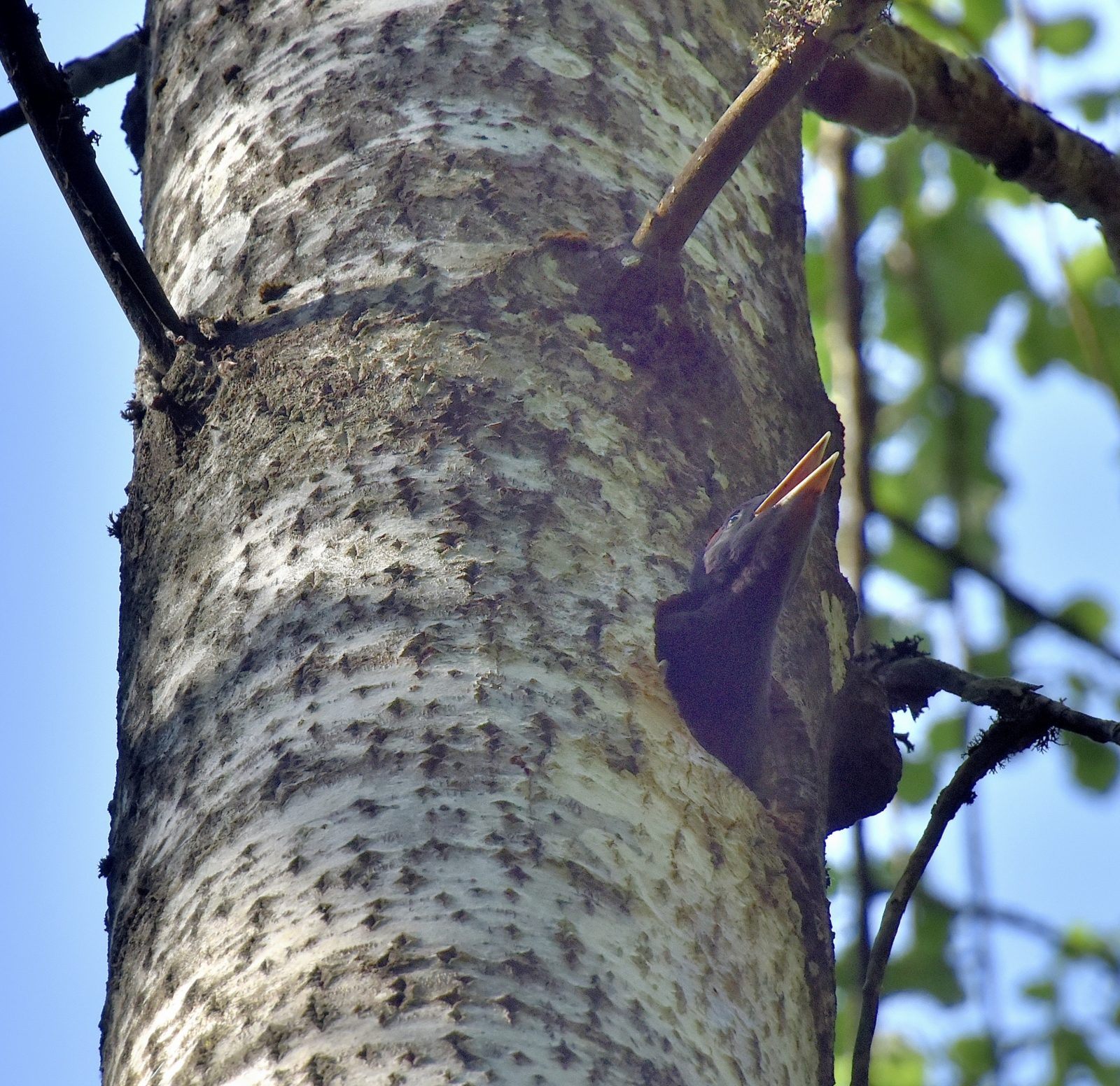 Valokuvaaja: Reijo Juurinen