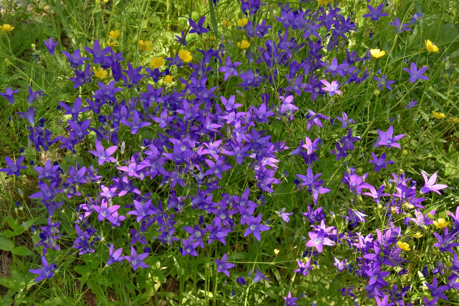 Valokuvaaja: Reijo Juurinen Valokuvaaja: Reijo Juurinen