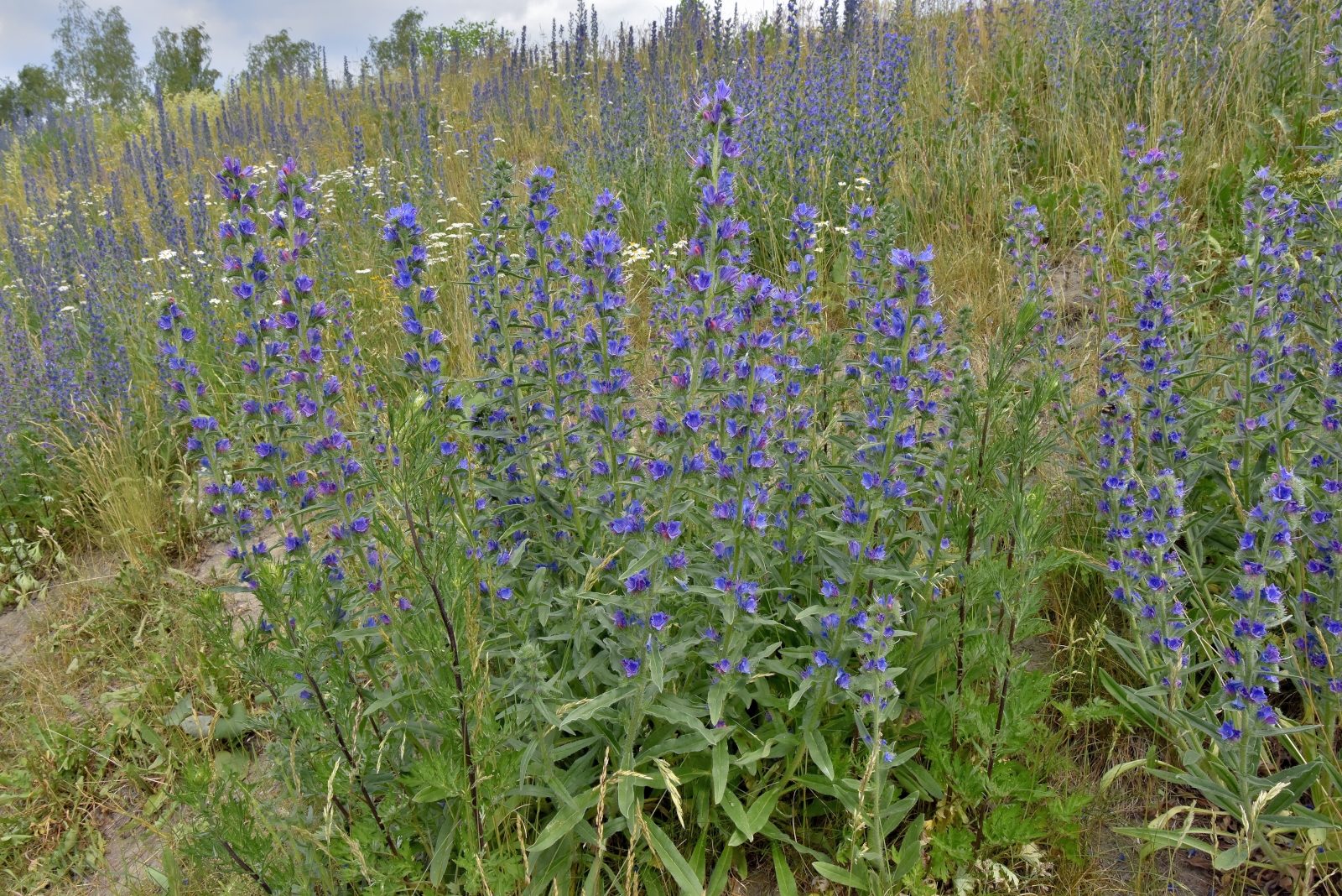 Valokuvaaja: Reijo Juurinen
