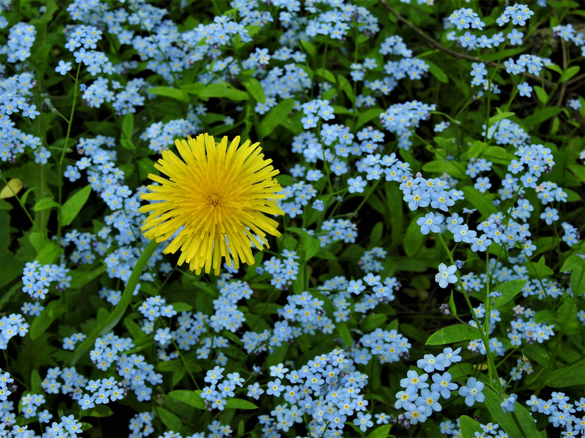 Valokuvaaja: Maarit Siitonen Valokuvaaja: Maarit Siitonen
