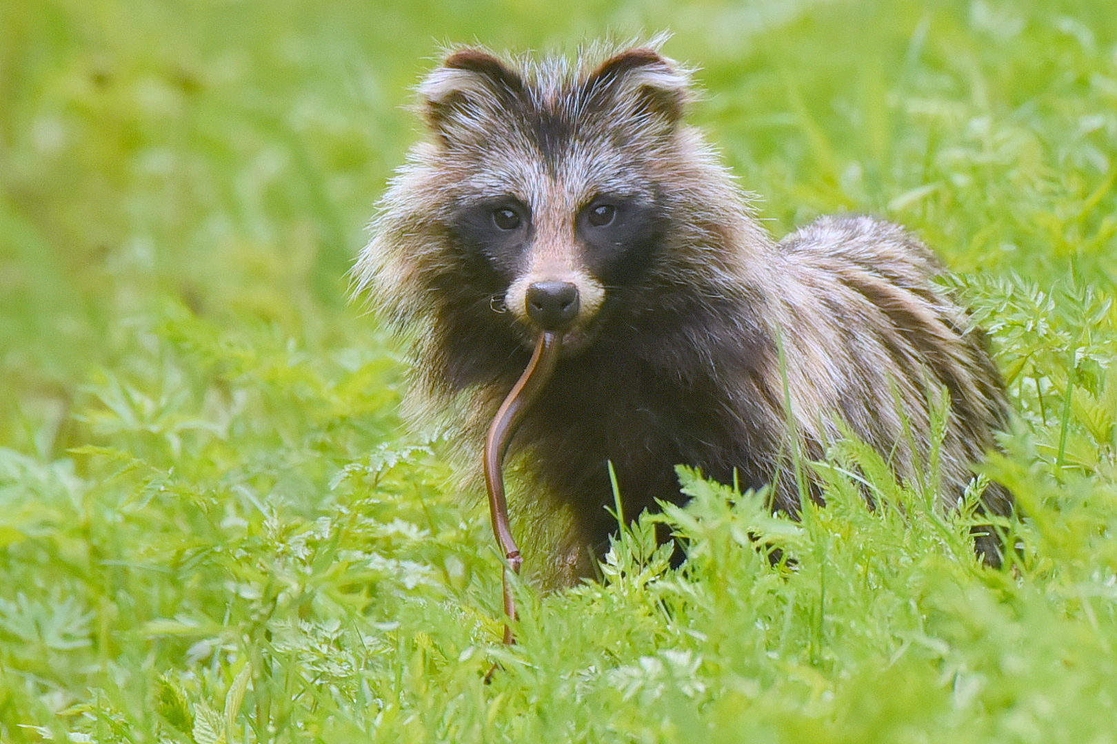 Valokuvaaja: Anssi Hurme
