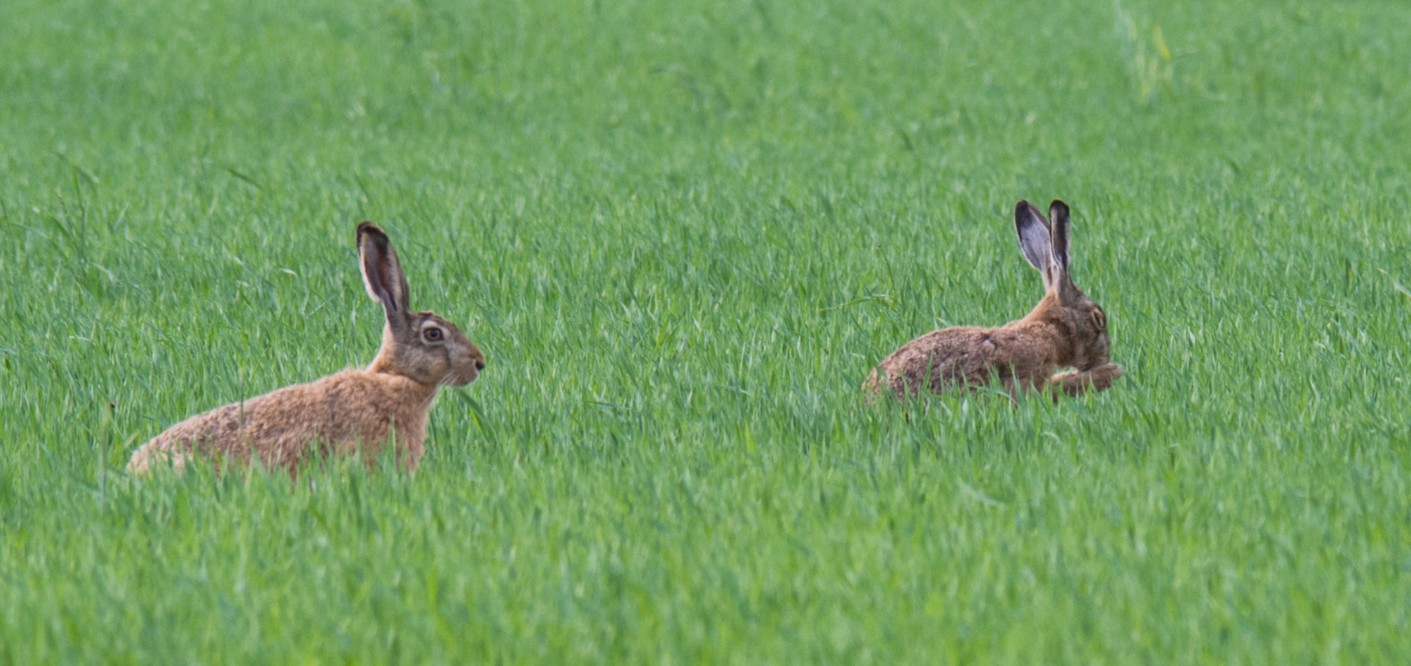 Valokuvaaja: markku saarinen