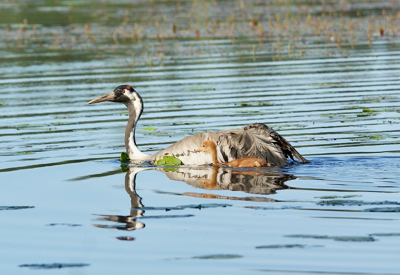 Valokuvaaja: Markku Ranta-Eilola