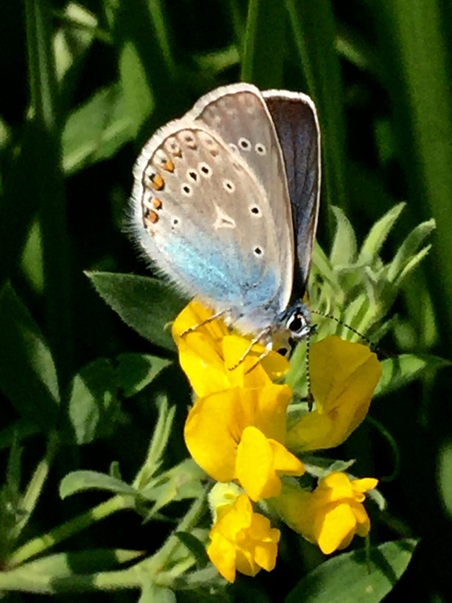 Valokuvaaja: Markku Ranta-Eilola