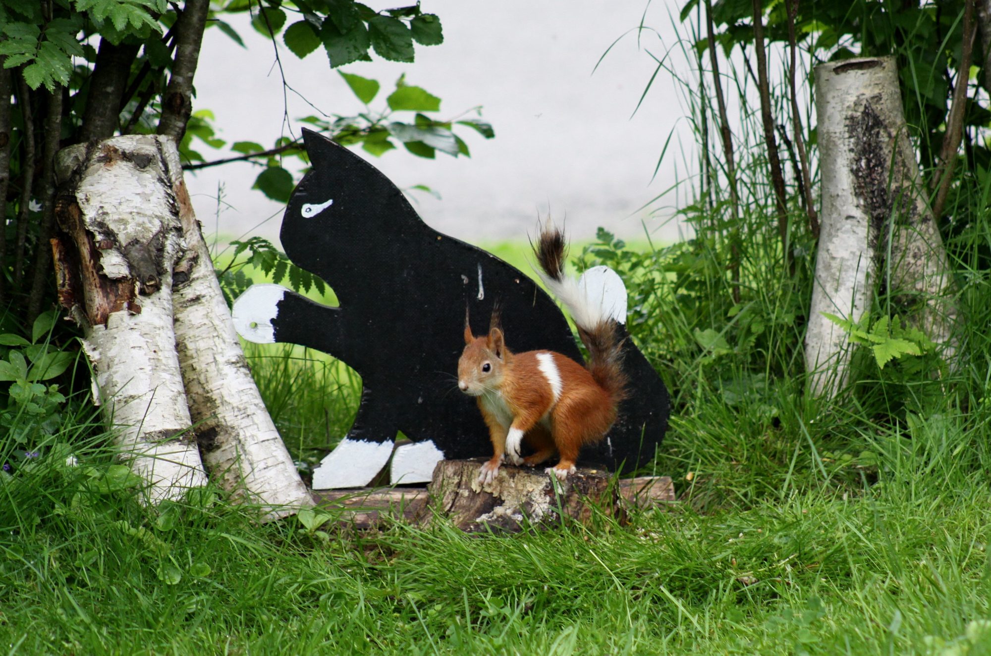 Valokuvaaja: Pirkko Siukonen