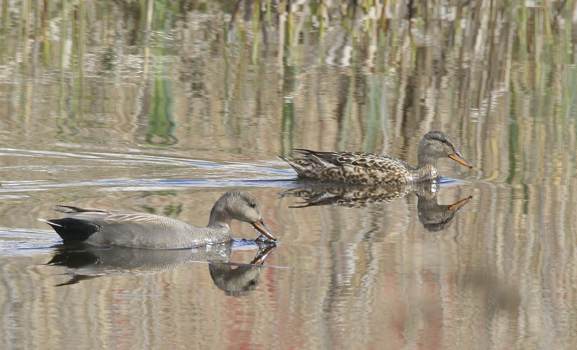 Valokuvaaja: Tuula Pirnes