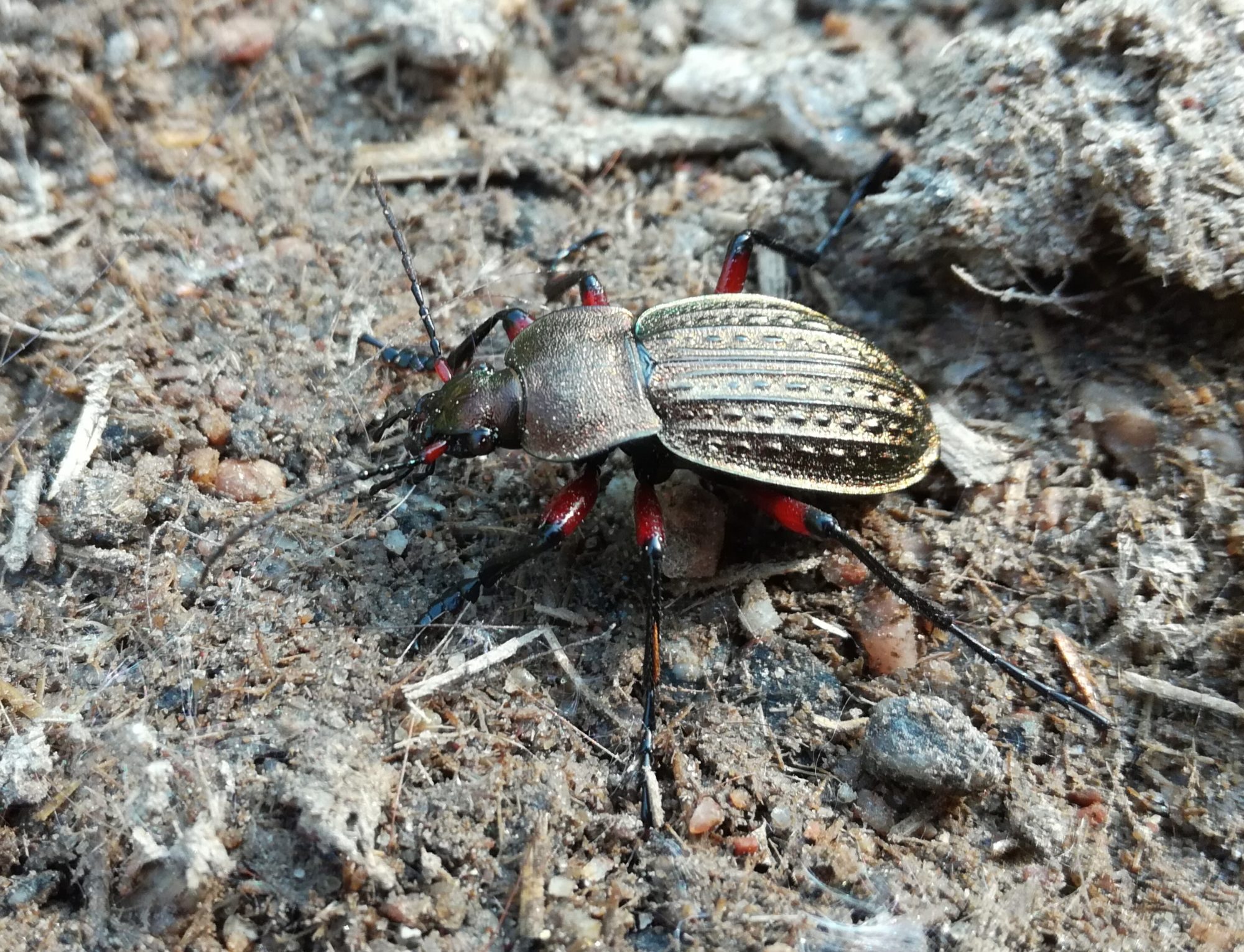 Valokuvaaja: Mariia Viljanen