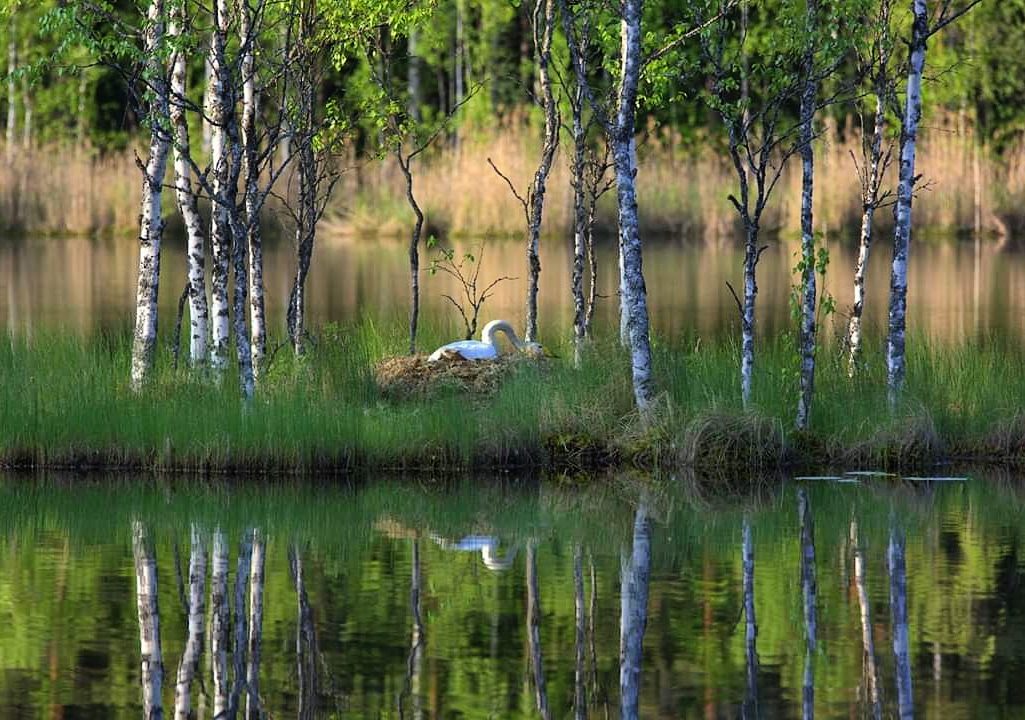 Valokuvaaja: Tapio Keinonen