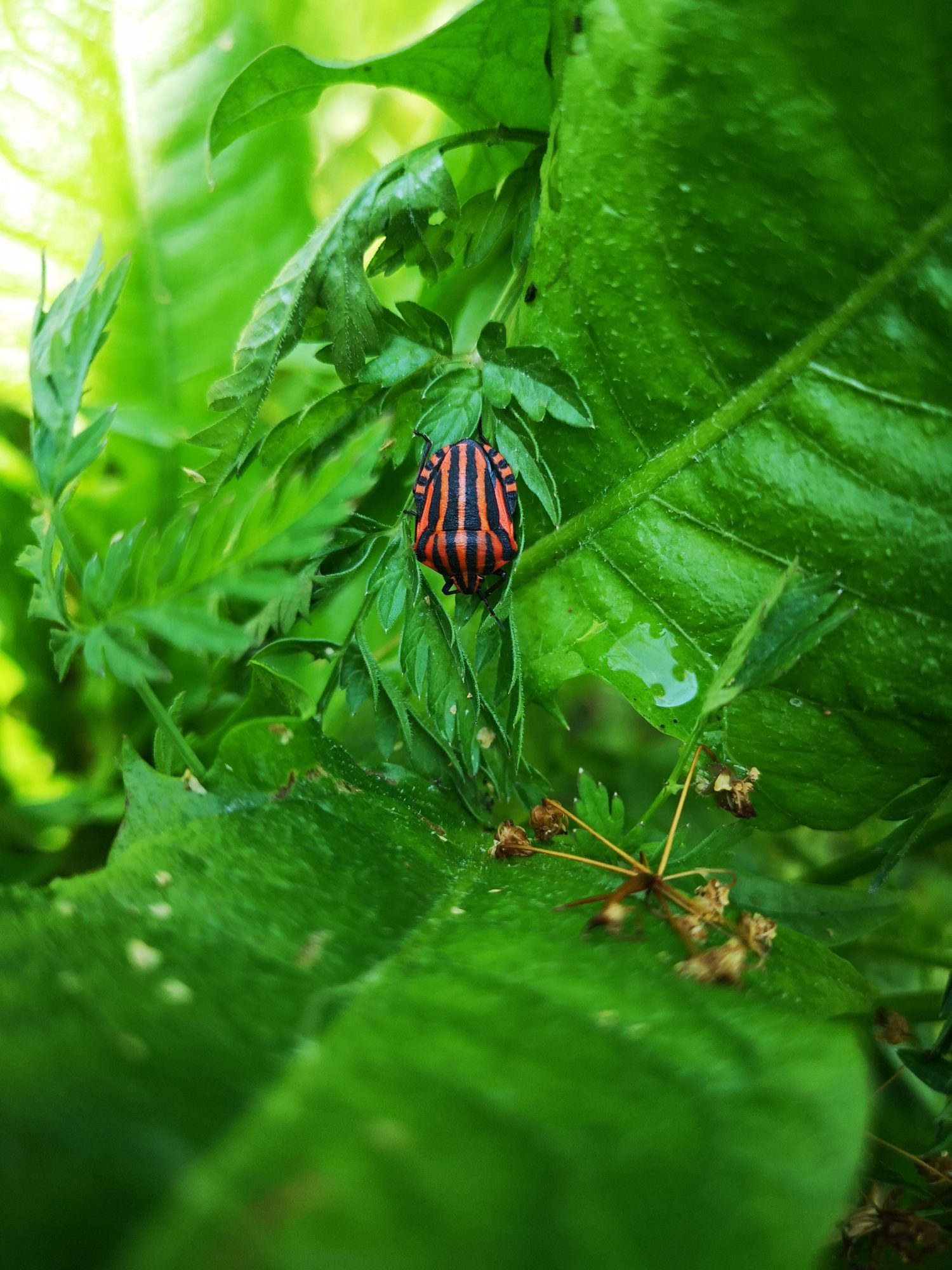 Valokuvaaja: Sari Hautamaa