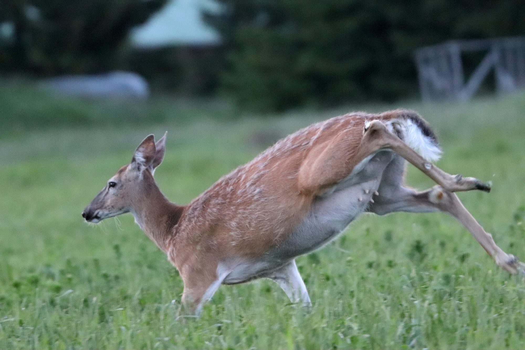Valokuvaaja: Irja Lehtinen