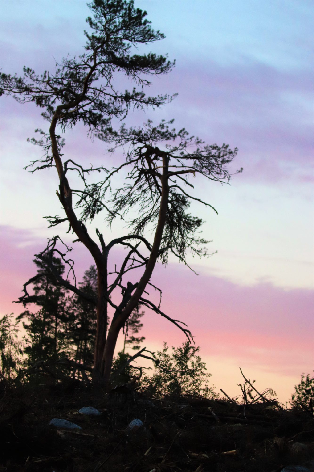 Valokuvaaja: Irja Lehtinen