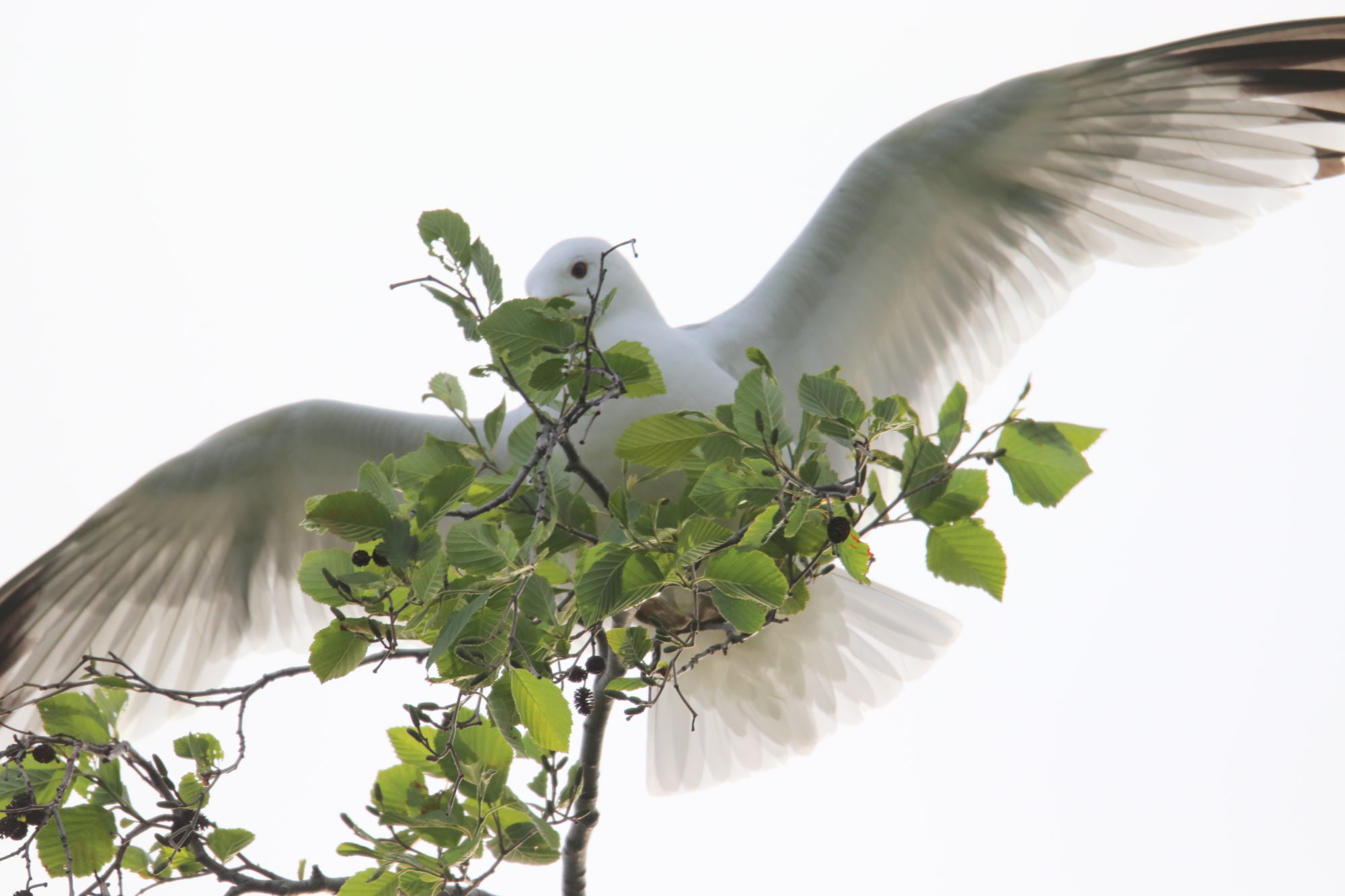 Valokuvaaja: Irja Lehtinen