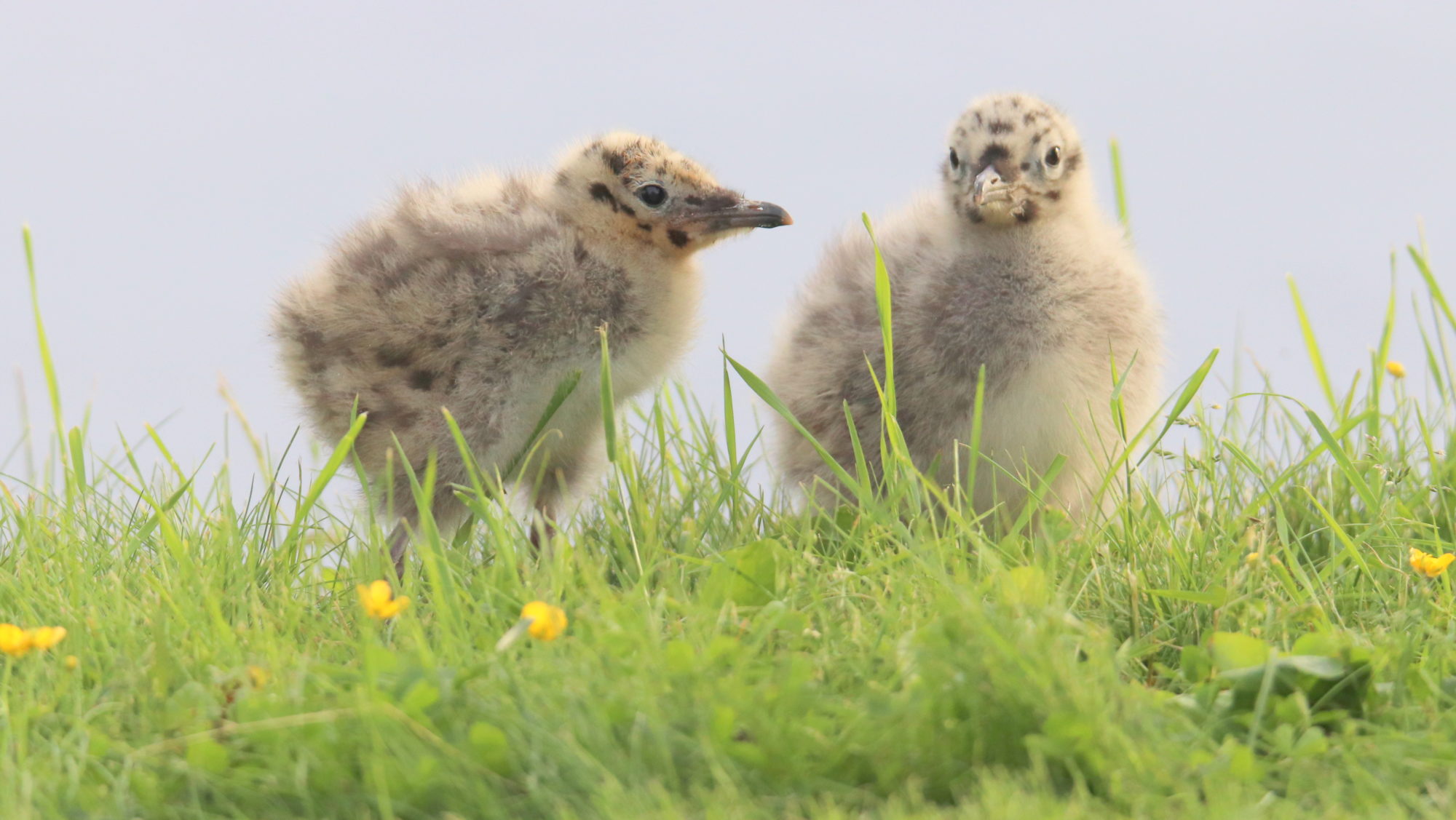 Valokuvaaja: Irja Lehtinen